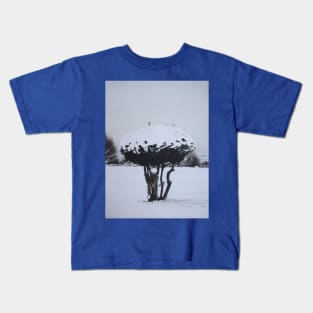 orriginal scenic snow picture landscape Kids T-Shirt